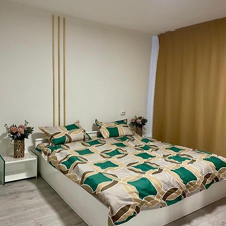 オラデアApartament House Sascaアパートメント エクステリア 写真